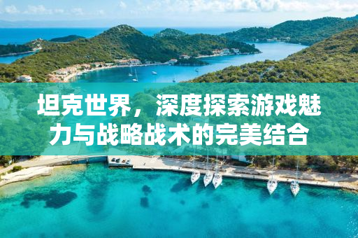 坦克世界，深度探索游戏魅力与战略战术的完美结合