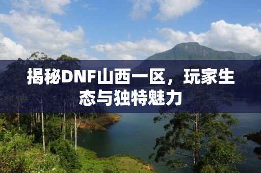 揭秘DNF山西一区，玩家生态与独特魅力