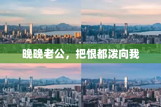 晚晚老公，把恨都泼向我