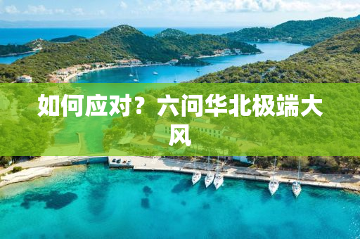 如何应对？六问华北极端大风
