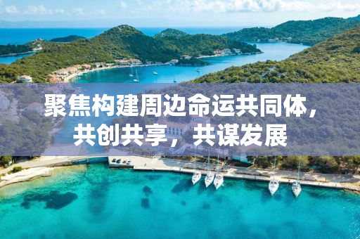 聚焦构建周边命运共同体，共创共享，共谋发展