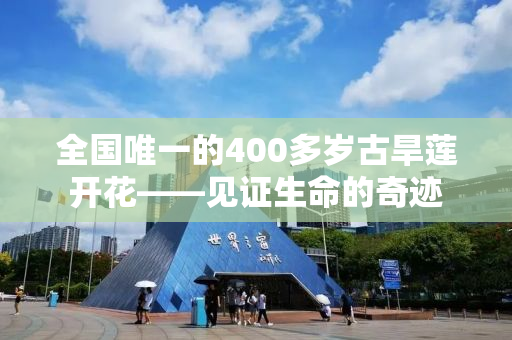 全国唯一的400多岁古旱莲开花——见证生命的奇迹