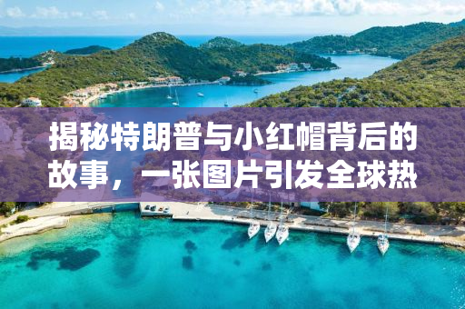 揭秘特朗普与小红帽背后的故事，一张图片引发全球热议，价值飙升至77美元