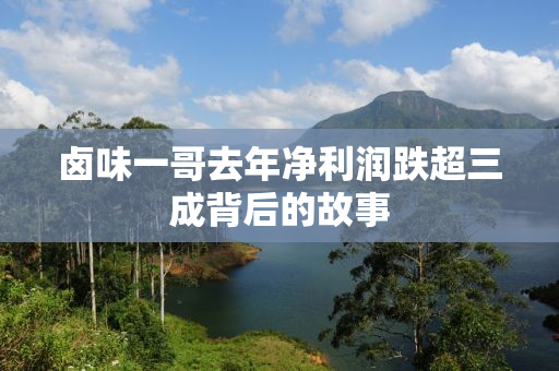 卤味一哥去年净利润跌超三成背后的故事