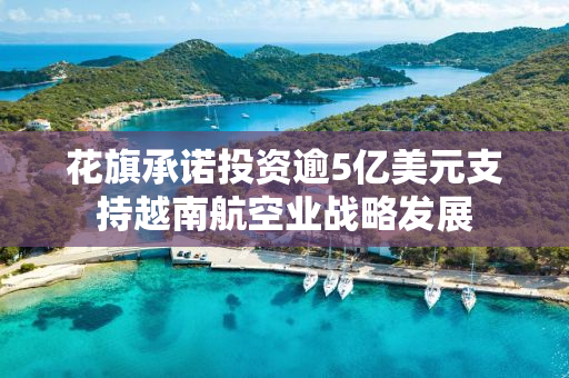 花旗承诺投资逾5亿美元支持越南航空业战略发展