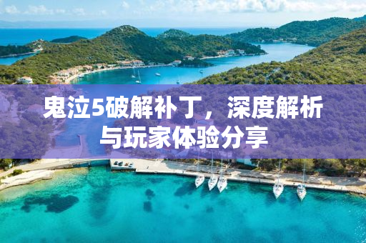 鬼泣5破解补丁，深度解析与玩家体验分享