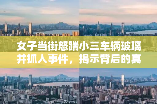 女子当街怒踹小三车辆玻璃并抓人事件，揭示背后的真相与反思
