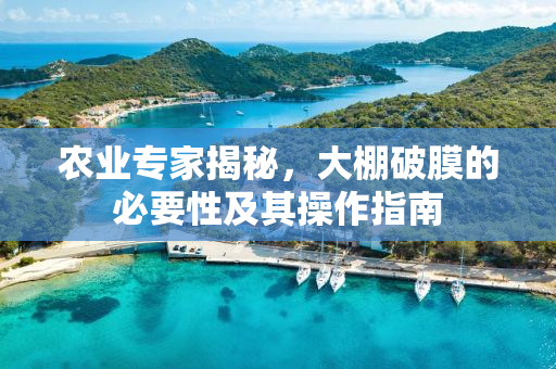 农业专家揭秘，大棚破膜的必要性及其操作指南