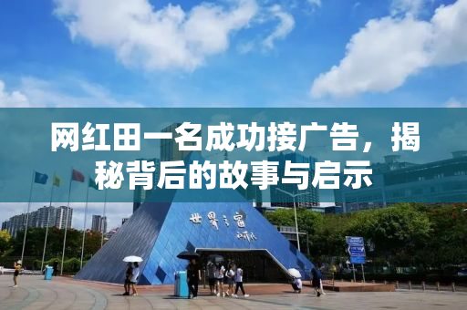 网红田一名成功接广告，揭秘背后的故事与启示