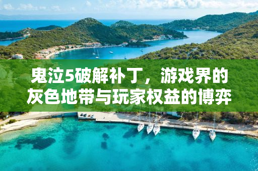 鬼泣5破解补丁，游戏界的灰色地带与玩家权益的博弈