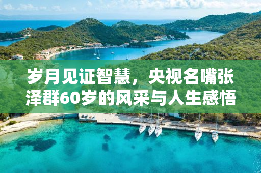 岁月见证智慧，央视名嘴张泽群60岁的风采与人生感悟