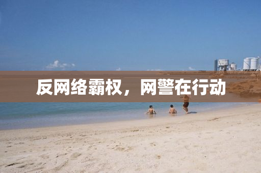反网络霸权，网警在行动