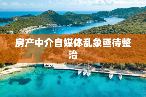 房产中介自媒体乱象亟待整治