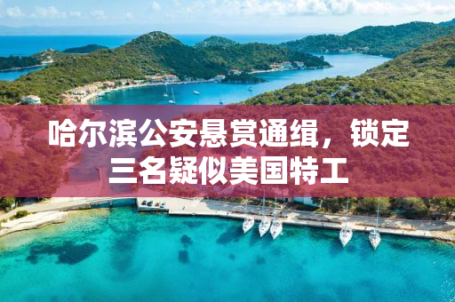 哈尔滨公安悬赏通缉，锁定三名疑似美国特工
