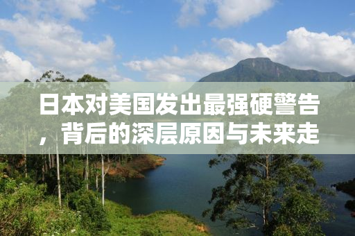 日本对美国发出最强硬警告，背后的深层原因与未来走向