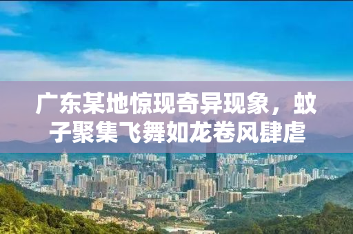 广东某地惊现奇异现象，蚊子聚集飞舞如龙卷风肆虐