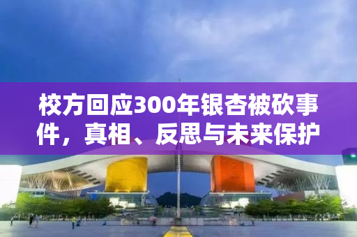 校方回应300年银杏被砍事件，真相、反思与未来保护
