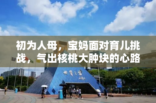 初为人母，宝妈面对育儿挑战，气出核桃大肿块的心路历程