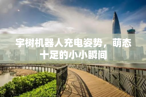 宇树机器人充电姿势，萌态十足的小小瞬间