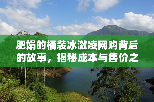 肥娟的桶装冰激凌网购背后的故事，揭秘成本与售价之谜