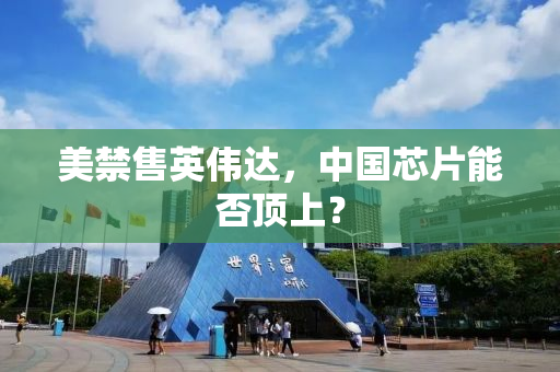 美禁售英伟达，中国芯片能否顶上？