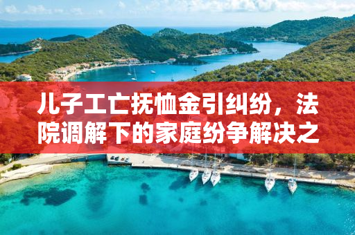 儿子工亡抚恤金引纠纷，法院调解下的家庭纷争解决之路
