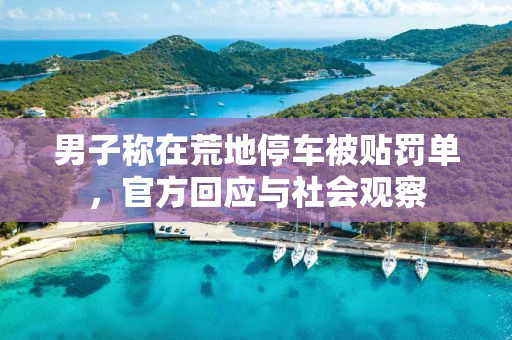 男子称在荒地停车被贴罚单，官方回应与社会观察