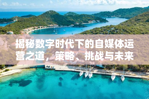 揭秘数字时代下的自媒体运营之道，策略、挑战与未来趋势分析