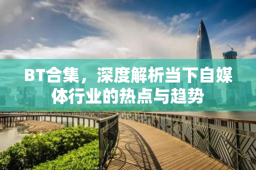 BT合集，深度解析当下自媒体行业的热点与趋势