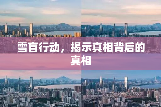 雪盲行动，揭示真相背后的真相