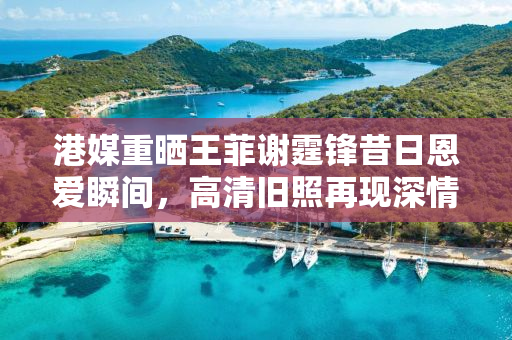 港媒重晒王菲谢霆锋昔日恩爱瞬间，高清旧照再现深情相恋之旅
