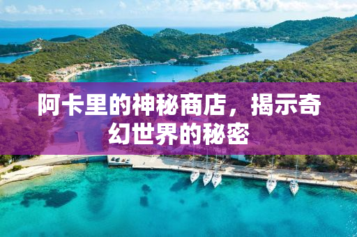 阿卡里的神秘商店，揭示奇幻世界的秘密