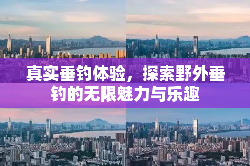真实垂钓体验，探索野外垂钓的无限魅力与乐趣