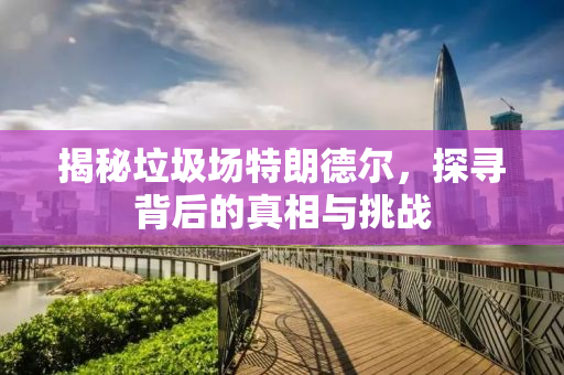 揭秘垃圾场特朗德尔，探寻背后的真相与挑战