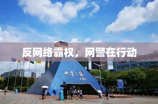 反网络霸权，网警在行动