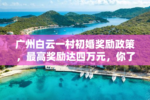 广州白云一村初婚奖励政策，最高奖励达四万元，你了解吗？