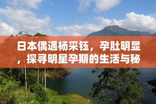 日本偶遇杨采钰，孕肚明显，探寻明星孕期的生活与秘密
