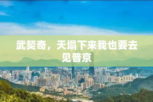 武契奇，天塌下来我也要去见普京