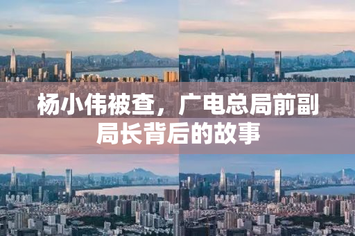 杨小伟被查，广电总局前副局长背后的故事