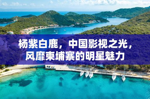 杨紫白鹿，中国影视之光，风靡柬埔寨的明星魅力
