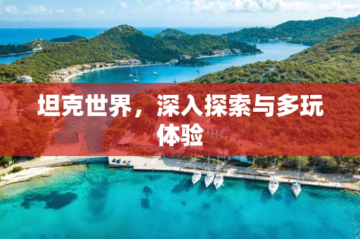 坦克世界，深入探索与多玩体验
