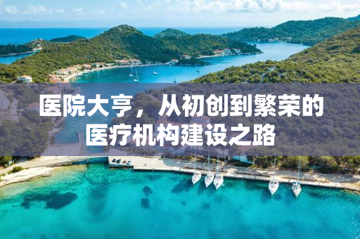 医院大亨，从初创到繁荣的医疗机构建设之路