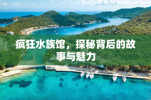 疯狂水族馆，探秘背后的故事与魅力