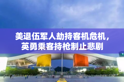 美退伍军人劫持客机危机，英勇乘客持枪制止悲剧