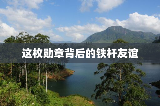 这枚勋章背后的铁杆友谊