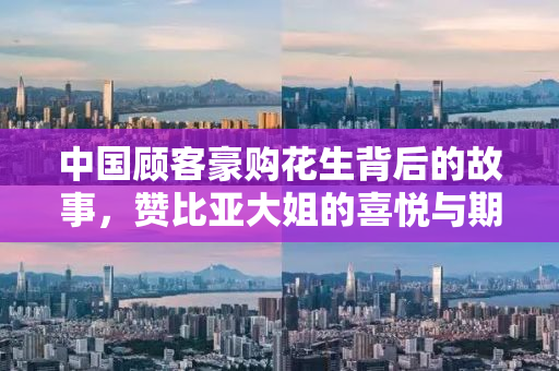中国顾客豪购花生背后的故事，赞比亚大姐的喜悦与期待