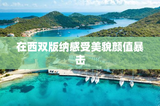 在西双版纳感受美貌颜值暴击