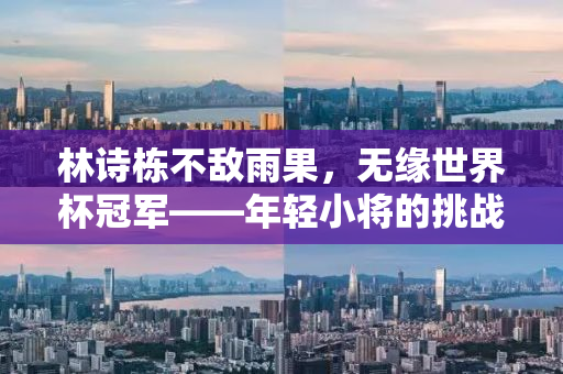 林诗栋不敌雨果，无缘世界杯冠军——年轻小将的挑战与未来展望