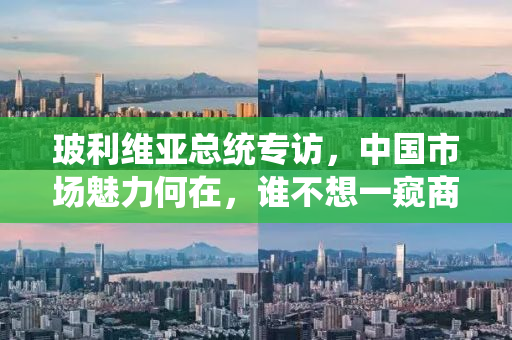 玻利维亚总统专访，中国市场魅力何在，谁不想一窥商机？