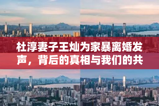 杜淳妻子王灿为家暴离婚发声，背后的真相与我们的共同责任